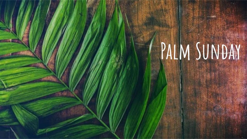 Lent 6, Palm Sunday: Christ Among Us, the Way of a Servant 